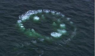 神舟十二号何时发射 神舟十二号发射