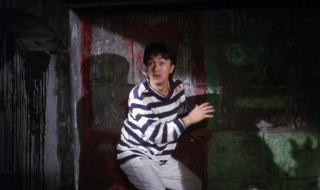 无敌幸运星请茶什么意思 无敌幸运星粤语版