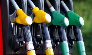 今年元旦2024高速公路免过路费吗 过路费减免时间2024