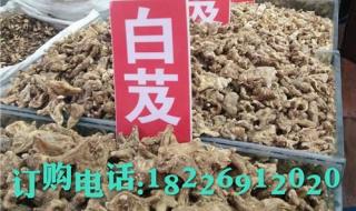 中国十大三七粉品牌质量排名中哪个牌子的三七粉好 三七粉哪个厂家好