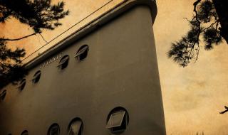 山鸣谷应打一生肖