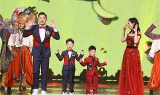 蔡依林的实力强吗 湖南卫视春晚蔡依林