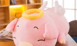 CF天使玩偶加成500％的经验吗 cf天使玩偶