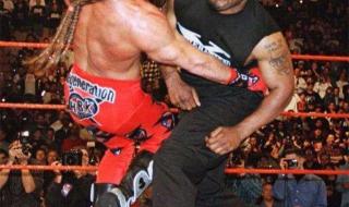 wwe强森哪年在名人堂 wwe名人堂成员名单